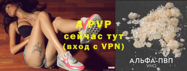 прущие крисы Новокубанск