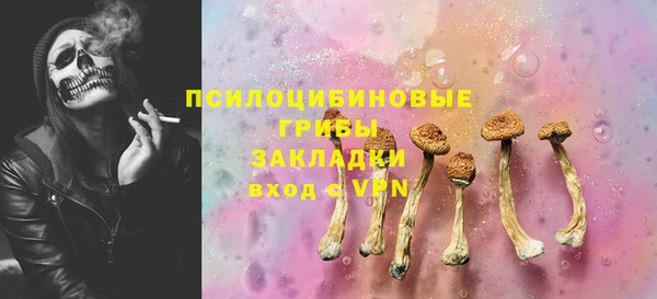 не бодяженный Новозыбков