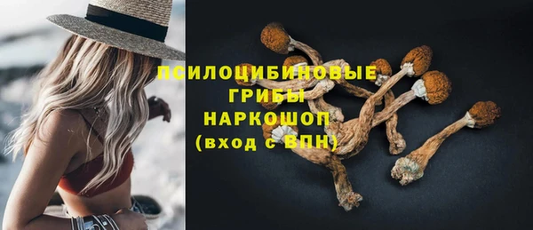 не бодяженный Новозыбков