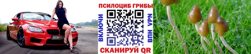 Псилоцибиновые грибы ЛСД  мега как зайти  Сертолово 