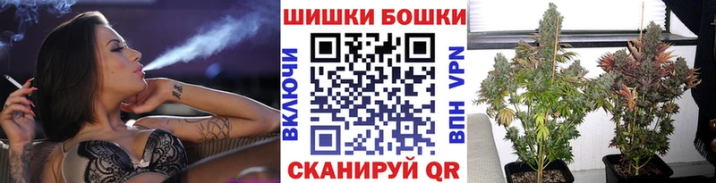 дарнет шоп  Сертолово  Шишки марихуана сатива 